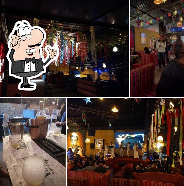 Shows en vivo y conciertos
